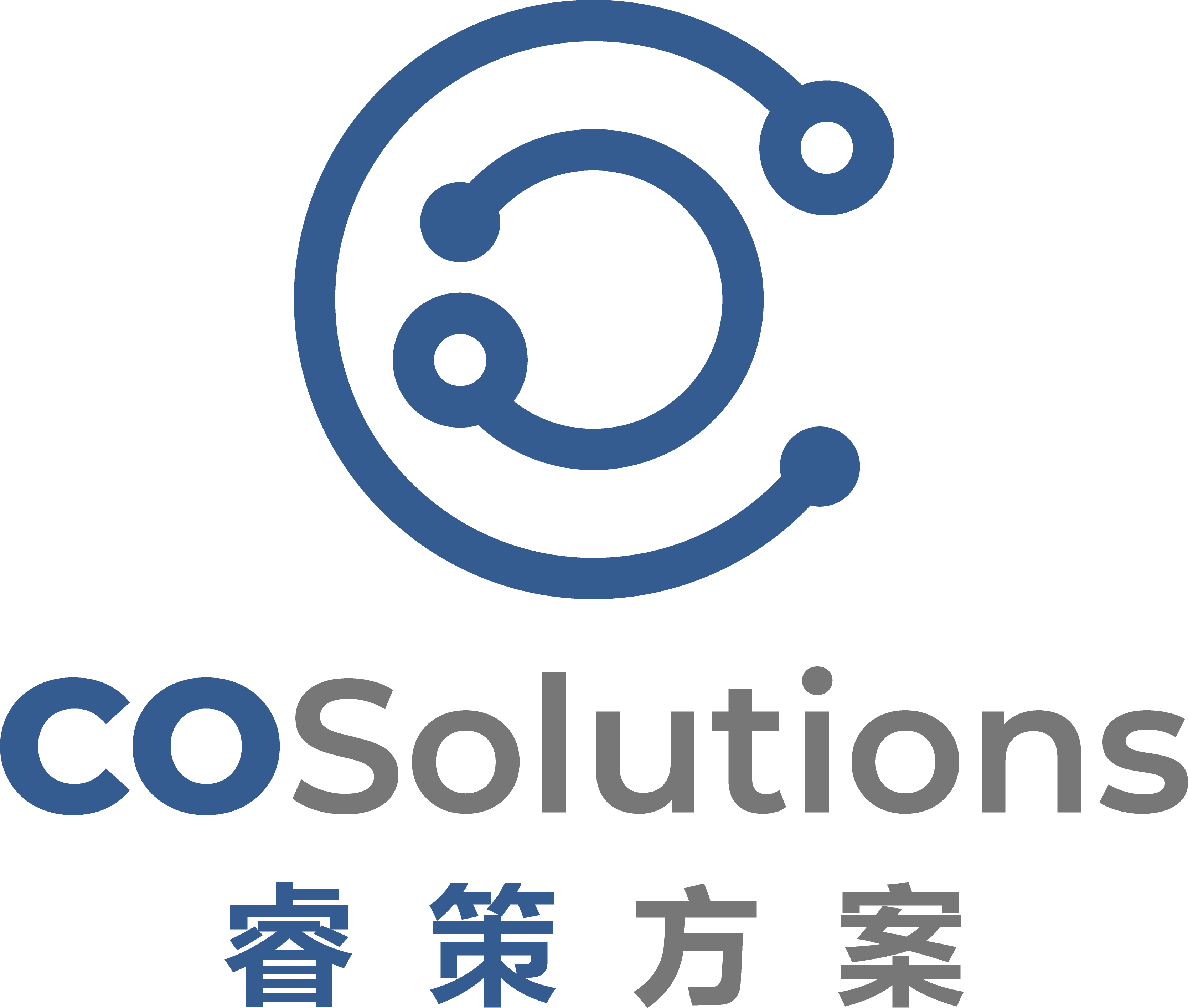 CO SOLUTIONS